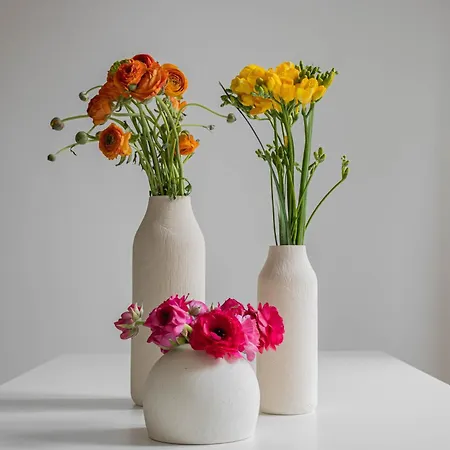 Διαμέρισμα Caracciolo Vatican *